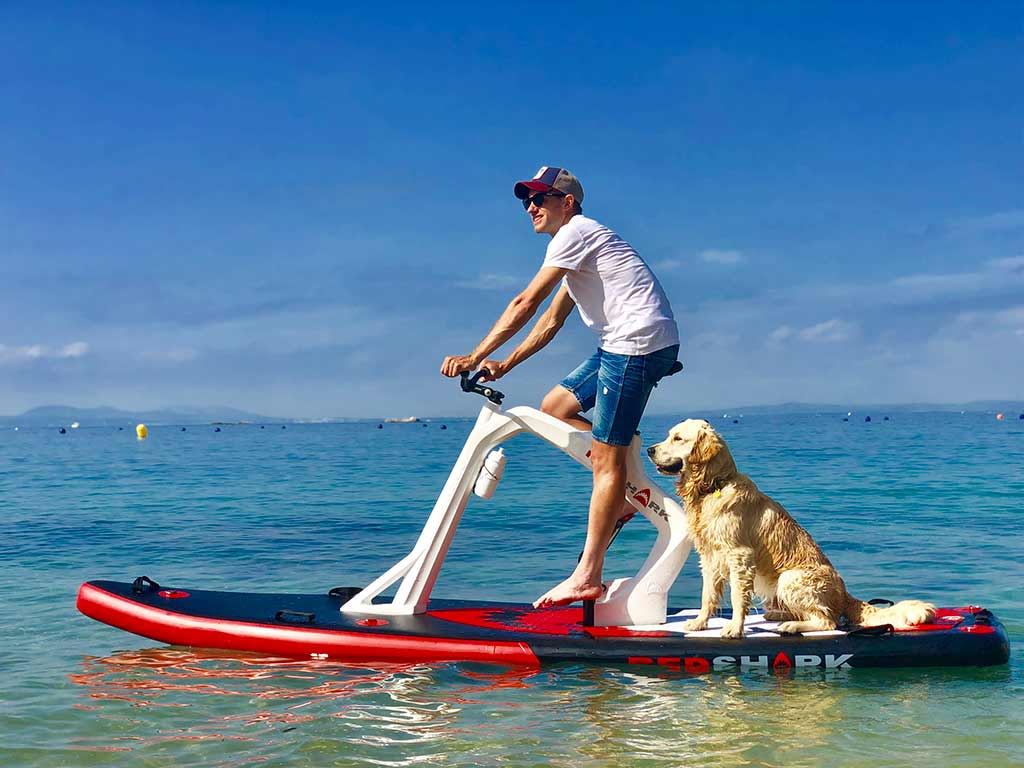 Man fietst op het water met zijn hond voorop het board